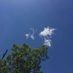 Meet your Posher, Ronald